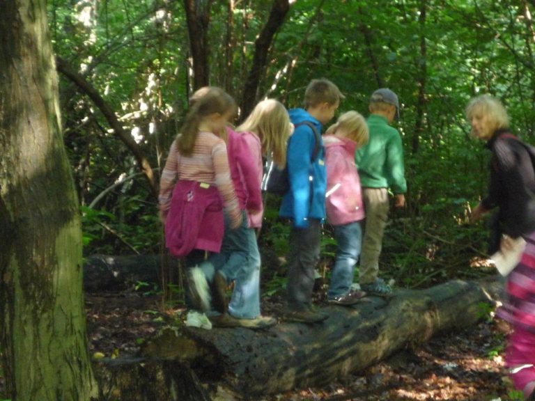 Kinder auf Baumstamm